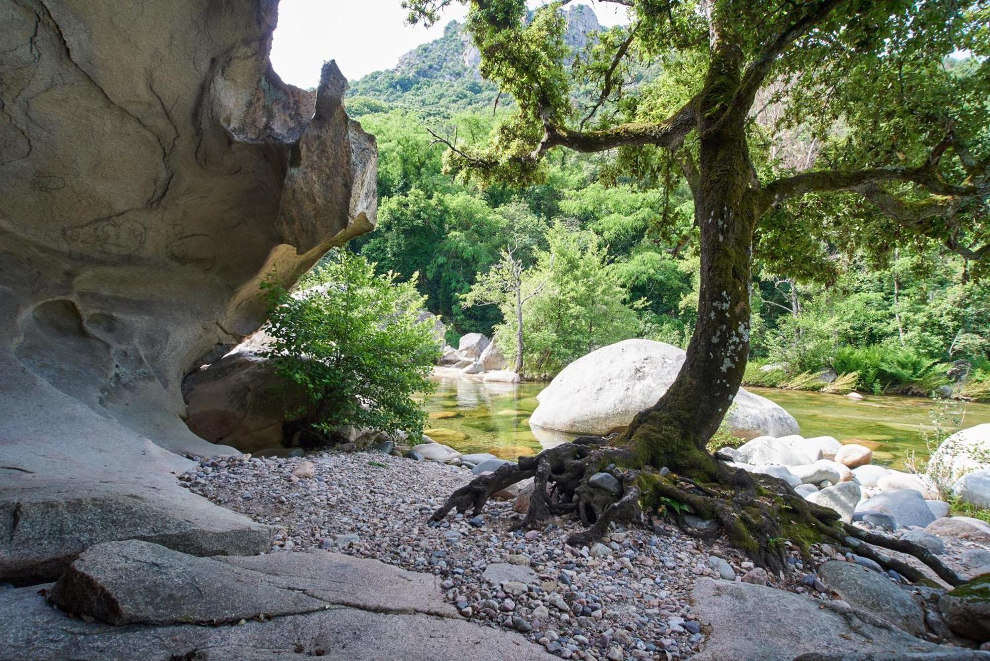 Camping Les Oliviers Porto  외부 사진