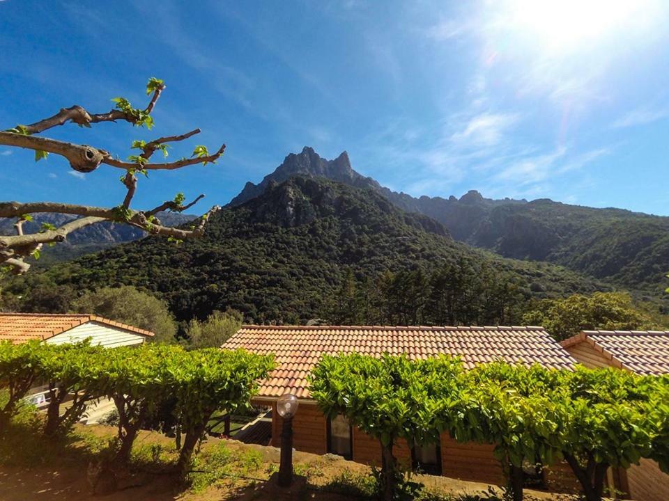 Camping Les Oliviers Porto  외부 사진